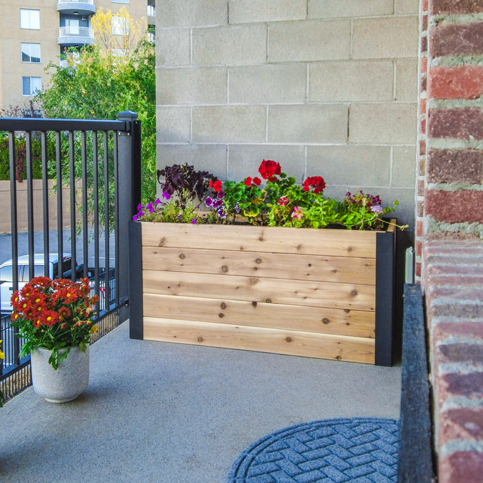 Urban Raised Garden Bed 4x1.5 in western red cedar with black steel legs, filled with red geraniums, petunias and coleus on a condo patio