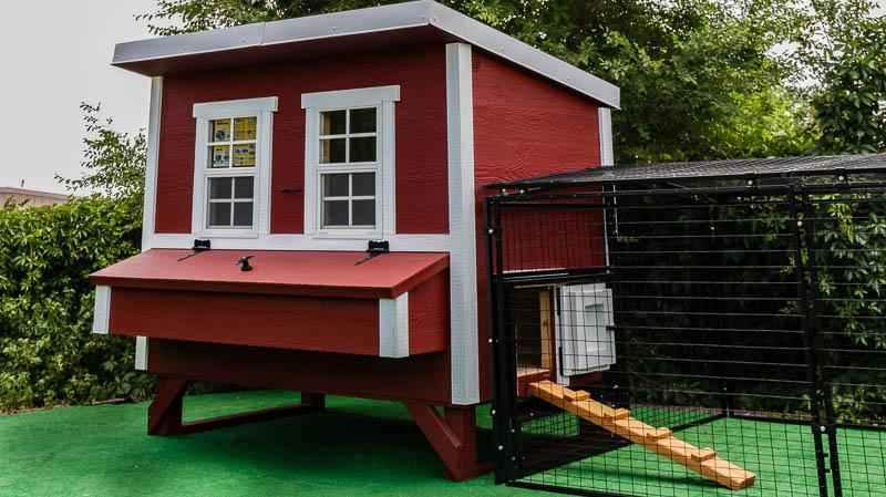 OverEZ Chicken Coop Regular 8 ft. Chicken Run (7'W x 8'L x 4'H) - 784CKRN1 View 4