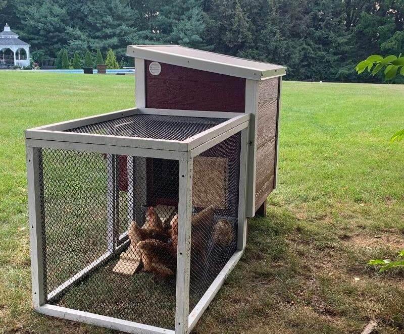 Close-up of the chicken run attached to the OverEZ Coop In A Box, detailing the secure mesh and sturdy frame for outdoor chicken safety.