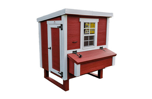 Side view of the spacious Medium Chicken Coop from OverEZ, included in the Flock Bundle Plus, with multiple access points for easy maintenance.