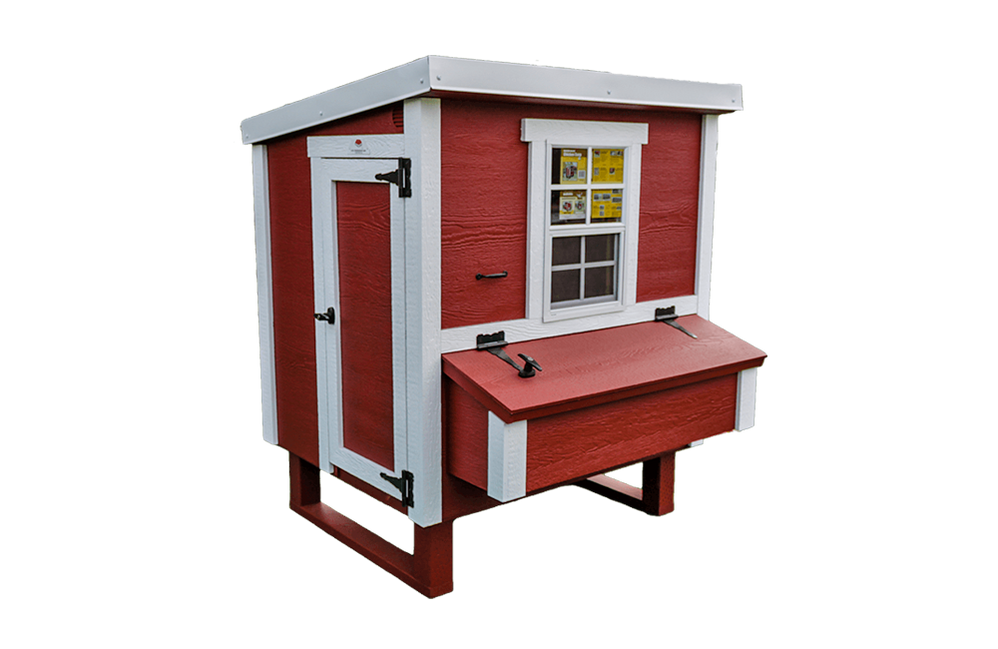 Chicken Coops: Safe Homes for Happy Chickens — Backyard Oasis