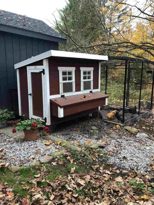 Large OverEZ chicken coop connected to an 8 ft. walk-in chicken run amidst a serene backyard setting.