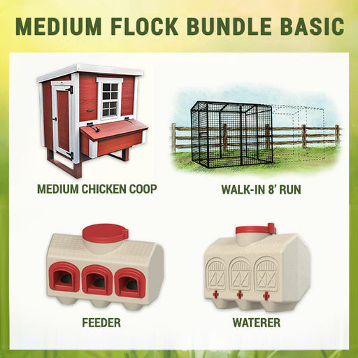 Complete set of the Medium Jumbo Flock Bundle Basic including the chicken coop, spacious run, feeder, and waterer, perfect for backyard poultry enthusiasts.