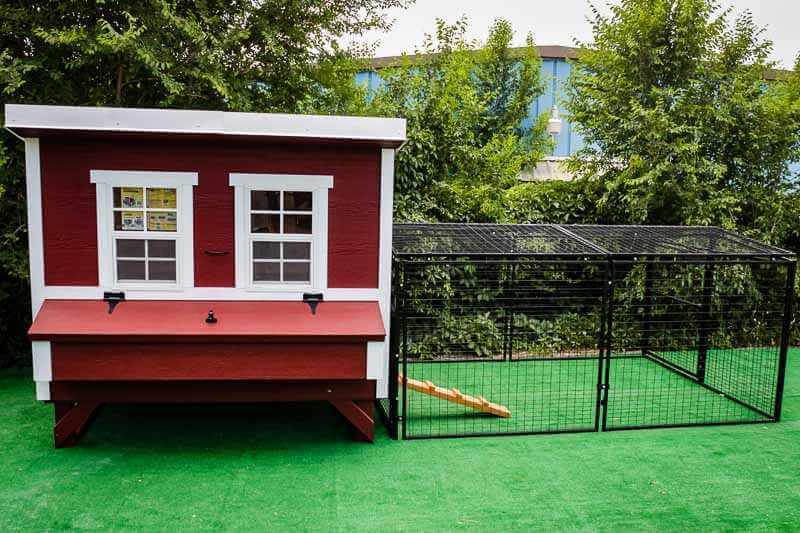 Frontal view of an OverEZ Regular 8-foot Chicken Run attached to a large, red and white chicken coop with dual windows and access ramp.