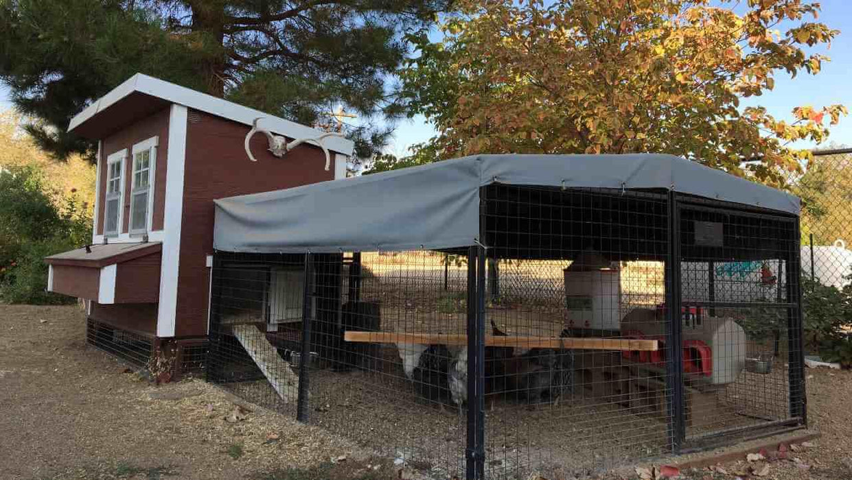 OverEZ Chicken Coop Regular 8 ft. Chicken Run (7'W x 8'L x 4'H) - 784CKRN1 View 5