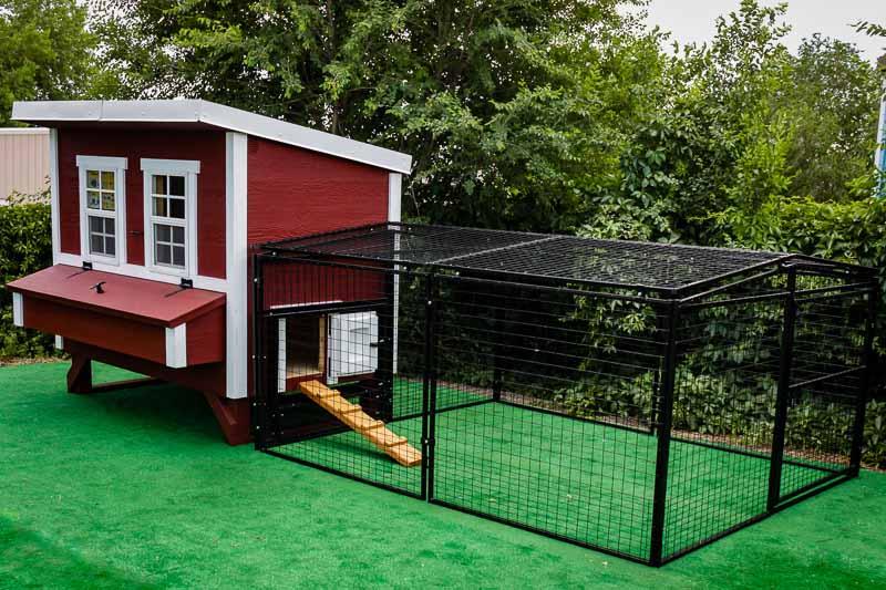 An OverEZ chicken coop, painted red and white, seamlessly integrates with a black Rugged Ranch Run, offering an expansive outdoor habitat for chickens, now featured in the OverEZ Chicken Coop Small Flock Bundle Plus.
